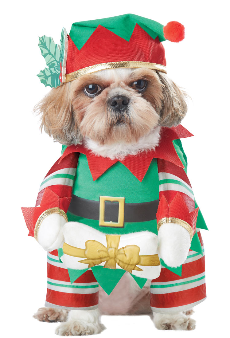 20132-Elf-Pup-Dog-Costume-large.jpg